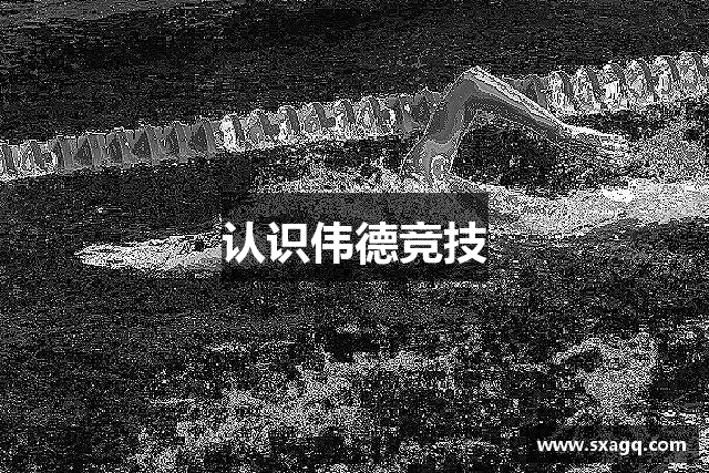 认识伟德竞技